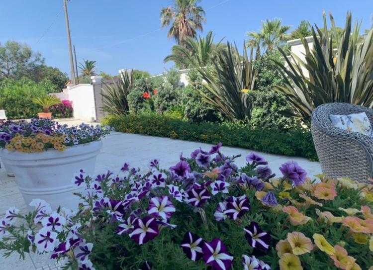 Villa Katy Salento Campomarino  Zewnętrze zdjęcie